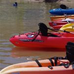 People of all ages gathered at Bartlett Lake in Carefree, Ariz., to give kayaking, water skiing and fishing a try.