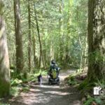 Katie enjoys exploring the Washington State forests with her service dog.